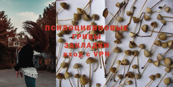 молекула духа Алексин