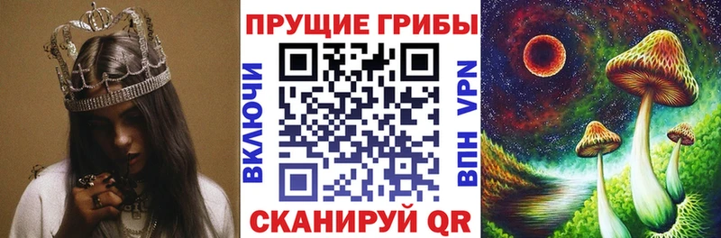 Псилоцибиновые грибы мицелий  Коряжма 